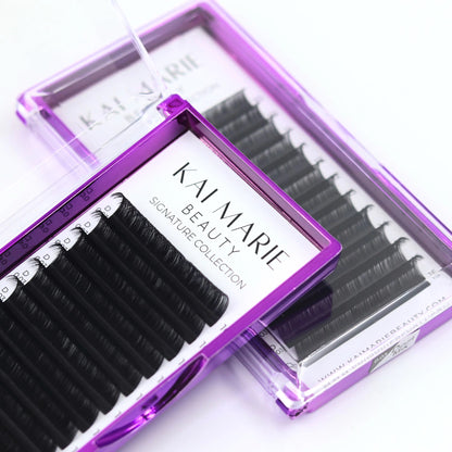 Mixed Lash Tray | Signature Collection